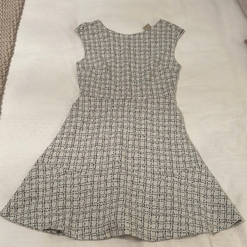 Loft white and black dress brand new